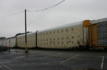 AOK 501558